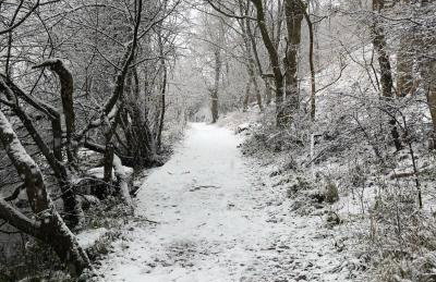 Bankside Cottage Milldale - Foto 53