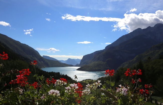 Agristurismo ai Castioni - Foto 24