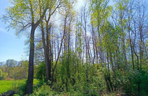 Mini house - apartament, domek do wynajęcia - Foto 27