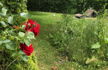 Auszeitwohnung - Foto 31