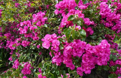 Casa do ti' Marrão - Photo 23