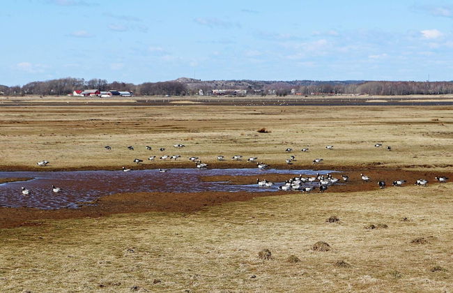 2 Person Holiday Home in Varberg-by Traum - Foto 15