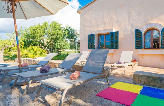 Vista Alegre in Manacor - Photo 9