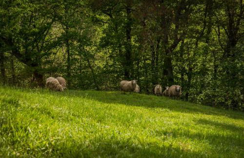 Apartamentos El Sualleiro - Foto 42