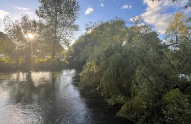 Riverside Studio - Foto 54