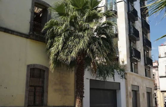 MyPlace at Santo Domingo - Foto 45