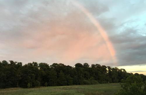 Ferienwohnung am Mühlenpark - Foto 14
