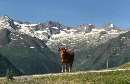 PRINCESSE DES NEIGES - Foto 4