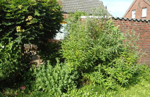 Campen Cottage - Photo 43