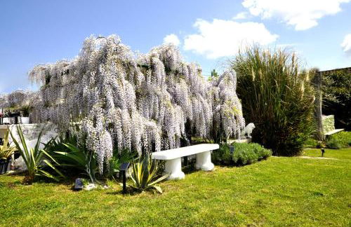 Gan Eden Nature House - Foto 19