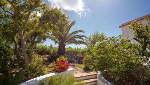 Casa di Arturo - Foto 2, Garden, Garden view