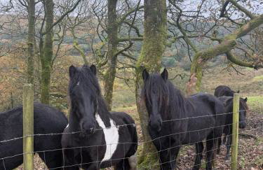 Grange Cottage - Foto 37