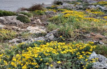 Grupoandria Villa Julia - Foto 24