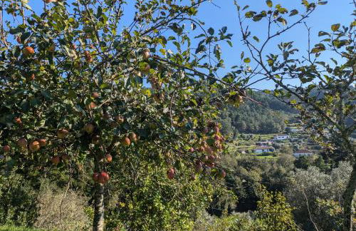 Casa do Valo - Foto 49