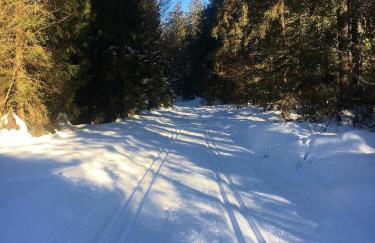 Ferienwohnung Hani - Foto 11