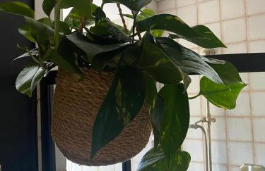 The Old Chair Workshop - Foto 18