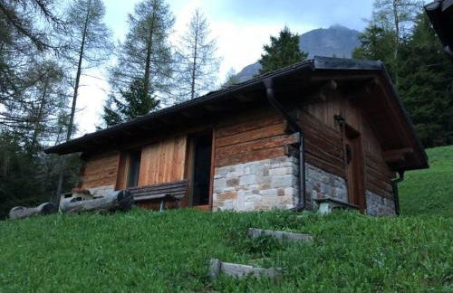 LA VOCE DEL BOSCO Selva di Cadore - Foto 28