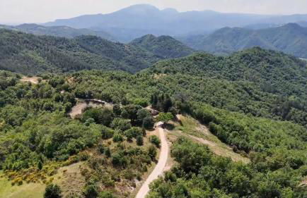 Casa Flori & Leonardo's Country House - Foto 56