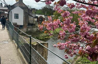 Town center cottage with Hot tub - Foto 30