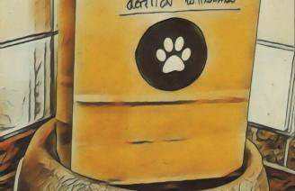 Fewo Haus Cäcilia - Photo 16