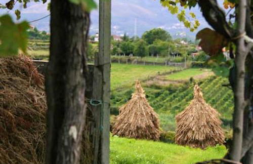 Charming Country House in Riba de Mouro, Fireplace - Foto 19