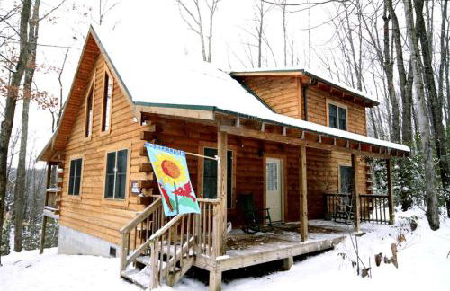 Idyllic Cabin Rental Nestled in the Forest near Summersville, West Virginia - Foto 7