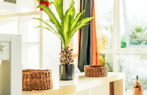 Apartment Balcons de la Rance-1 by Interhome - Foto 20