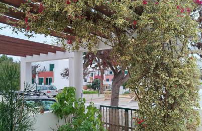 The South Sunny House - A Casa a Sul - Foto 59