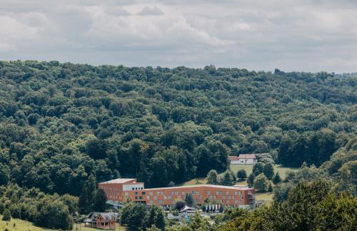 Dama s kamelijama - Foto 17