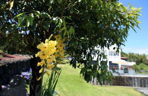 Villa Capelinhos - Foto 38