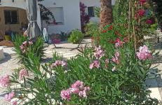 Villa La Musica - Foto 2