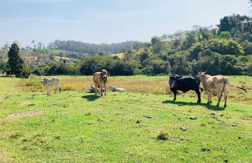 Bangalô 2 Rota do Vinho São Roque - Foto 23