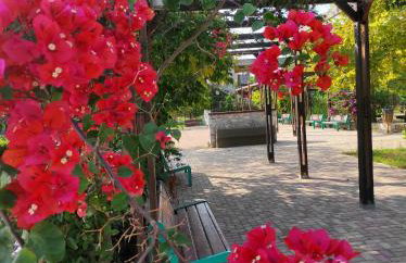 Villa Anthemida Chania - Foto 37