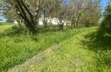 Quinta Pura Natura - Foto 9