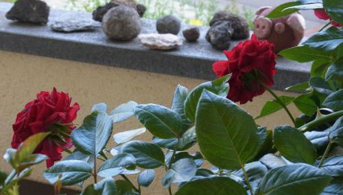 Gästehaus VillaVerde - Foto 4