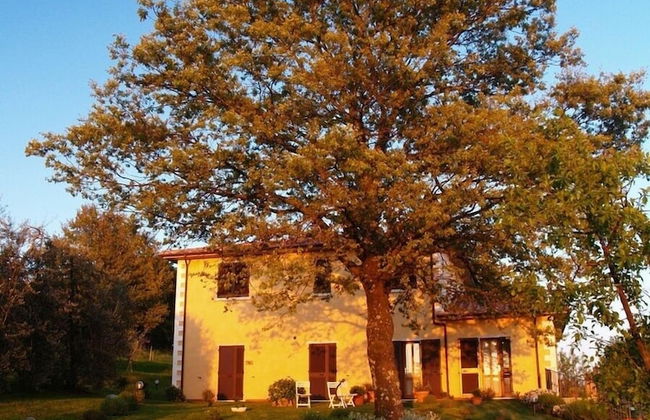 Agriturismo I Lapi - Foto 46