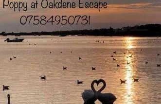 Poppy at Oakdene Forest Park - Foto 11