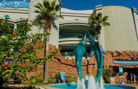 Heart of Houston - Foto 26