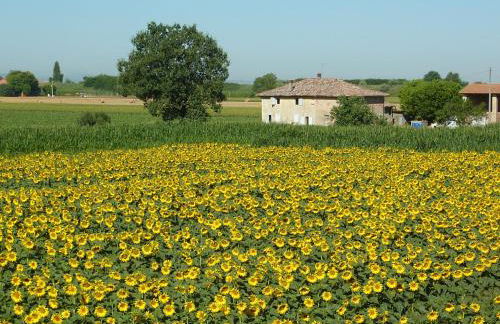 Il Murello - Photo 31