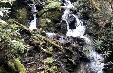 Cozy Cabin in the Blue Ridge Mountains, Perfect for a Weekend Escape from Atlanta - Foto 13