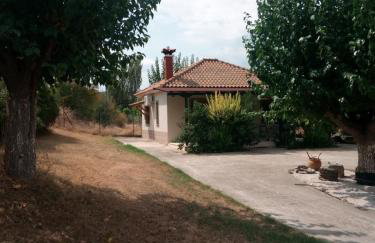 The House in the Mulberries Trees - Photo 5