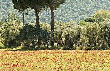 Palm tree house by the beach - Foto 61