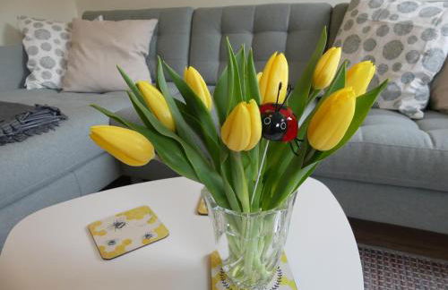 Ferienwohnung Sünteltraum - Foto 1