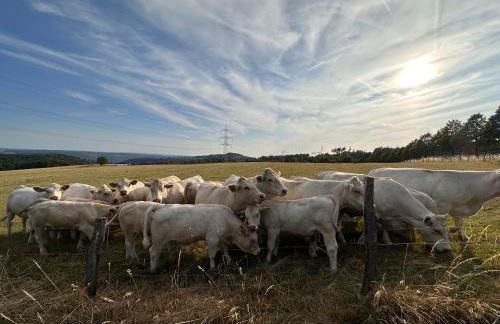 Ferienwohnung Forellenhof - Mitten in der Natur - Foto 32