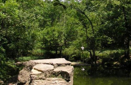 Luxury 8 Bed/4 Ba NuLu Home Private yard/parking - Foto 63