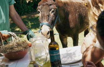 CABRA - Porto Covo - Foto 33