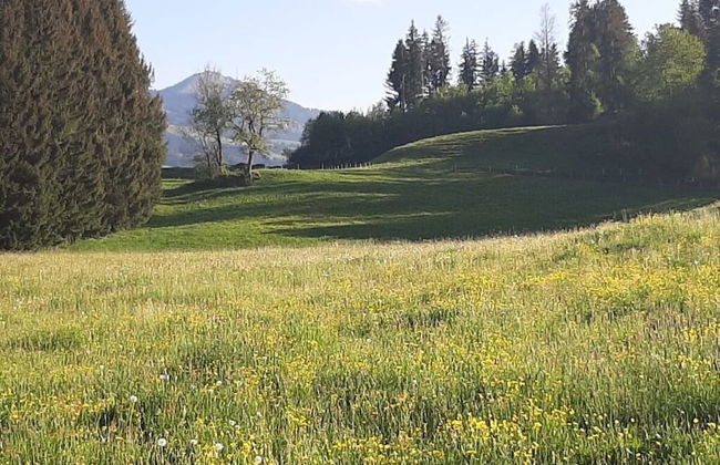 Apartment in Thuringia - Foto 16