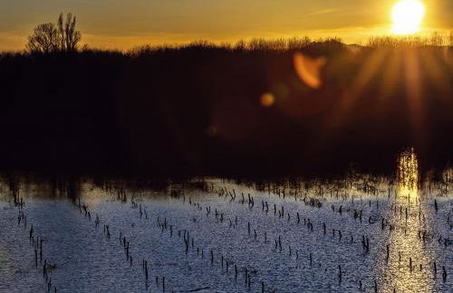 Etna Quota Mille Boutique Hotel, Typical Sicilian Food & Wine - Foto 129