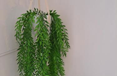 Lucas House - Foto 10