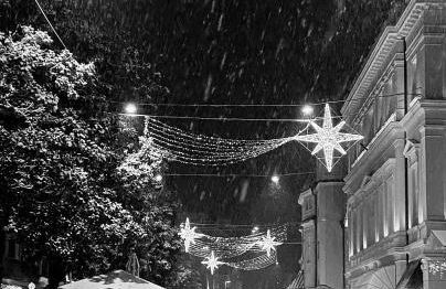 Emma Suite Merano - Photo 6